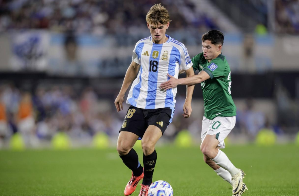 具体情况 具体情况